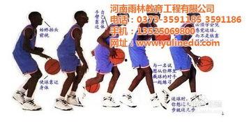 篮球积木成人教程视频,轻松掌握篮球技巧与策略