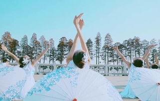 国标舞成人考级舞蹈视频,舞动人生，展现舞者风采