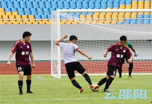 成人男子足球训练视频,男子成人足球技巧解析