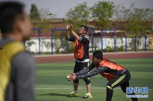 成人标准训练橄榄球视频,全面提升技能与战术